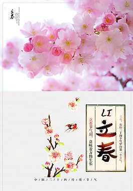 精美花朵二十四節(jié)氣立春背景