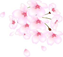 卡通粉色鮮花png元素