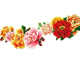 五彩繽紛牡丹花png元素