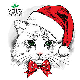 戴圣诞帽子的小猫插画
