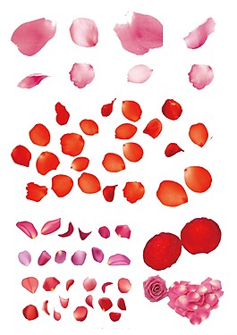 粉色漂浮花瓣png元素素材