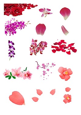浪漫粉色花瓣免抠素材元素