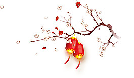 清新雅致梅花燈籠節(jié)日元素