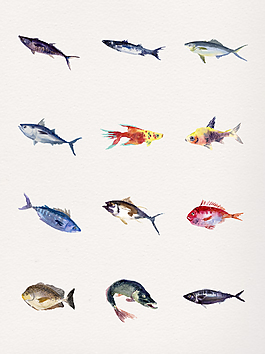 手繪海魚卡通透明素材合集