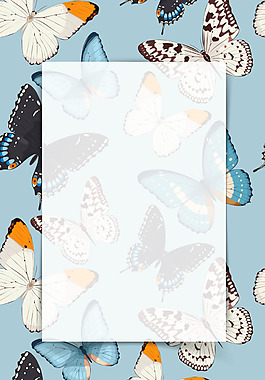 矢量蝴蝶海報(bào)背景