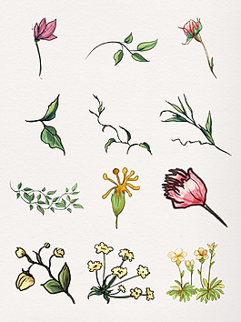 水彩鮮花透明裝飾素材合集