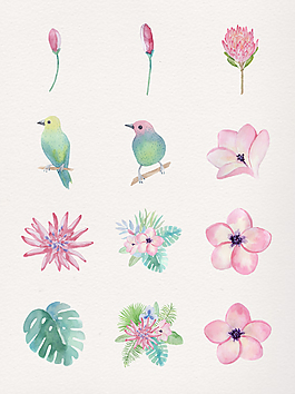 手繪鳥和鮮花透明裝飾素材合集