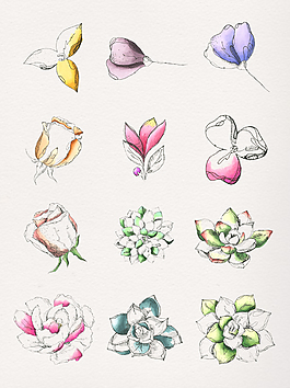 手繪彩色多肉透明裝飾素材合集