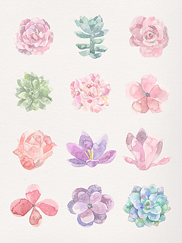 水彩浪漫花朵透明裝飾素材合集