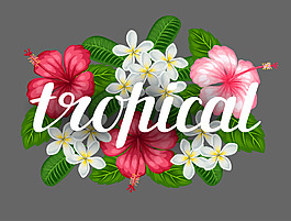 熱帶植物花朵和藝術字