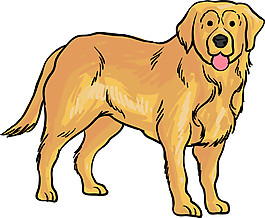 帥氣憨厚金毛卡通手繪裝飾元素