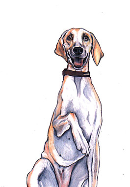 清新大型犬卡通手绘装饰元素