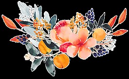 彩色花朵樹(shù)葉野果拼接花束水彩透明素材