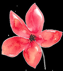 手繪五塊花瓣紅花水彩透明素材