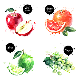水彩繪水果插畫