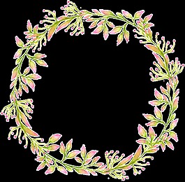 簡約清新花草花環(huán)鮮花透明裝飾