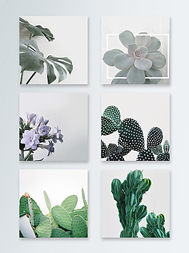 化妝品飾品植物葉子場(chǎng)景主圖背景