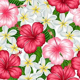 手繪植物花朵插畫
