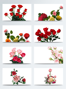 真实浪漫情人节玫瑰鲜花免扣素材
