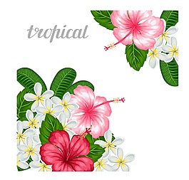 唯美時(shí)尚的熱帶花朵植物