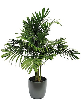 綠色植物花盆png元素