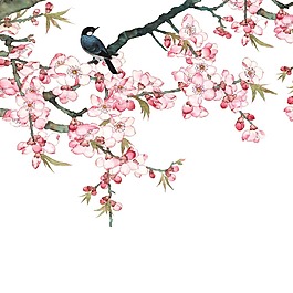 卡通梅花枝頭落小鳥png元素
