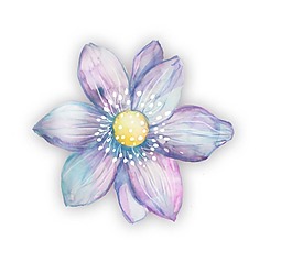 卡通彩色花朵png元素