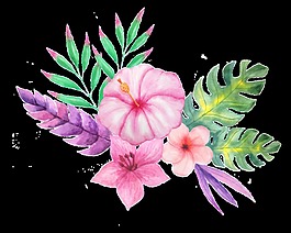 不同種類的花草花束透明裝飾素材