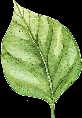 手繪水彩綠色葉片矢量素材