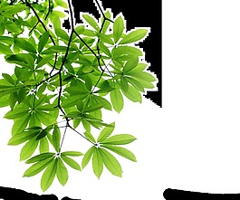 創(chuàng)意時尚手繪圖透明裝飾素材