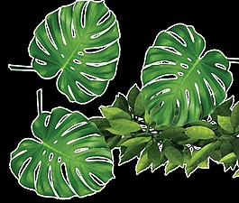 逼真綠色植物透明裝飾素材