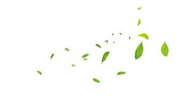 清新綠色葉子飄落美圖PNG元素