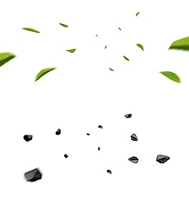 樹葉石子漂浮PNG元素