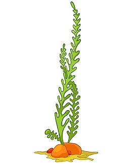 卡通綠色植物png元素