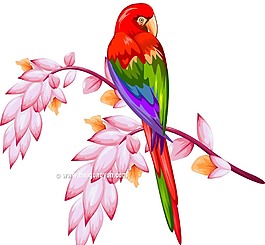 手繪鸚鵡插畫元素