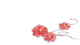 淡雅牡丹手繪插畫元素