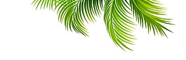 清新綠色葉子插畫海報(bào)元素