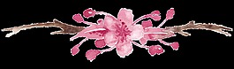 水彩手绘桃花树枝png透明素材