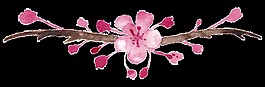 手繪水彩簡(jiǎn)約梅花花枝png透明素材