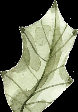 水墨树叶透明装饰素材