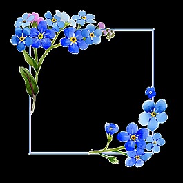 手繪藍(lán)色小花畫框PNG透明素材