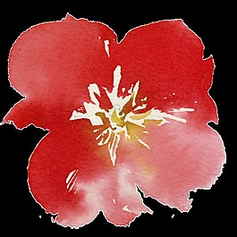 手繪熏染紅色花朵PNG透明素材
