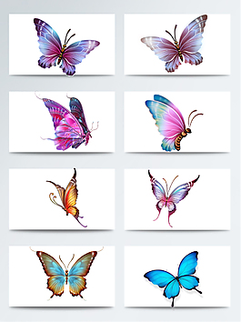 高清免扣彩色蝴蝶PNG元素