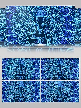 藍光孔雀開屏視頻素材
