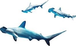 藍色海洋鯨魚png元素