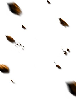 巖石石頭散落png元素