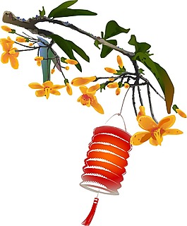 中國風燈籠黃花插畫png元素