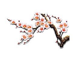 卡通粉白色梅花png元素