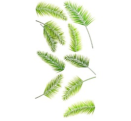 綠色葉子飄落png元素