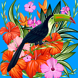 大嘴鹦鹉和花朵插画